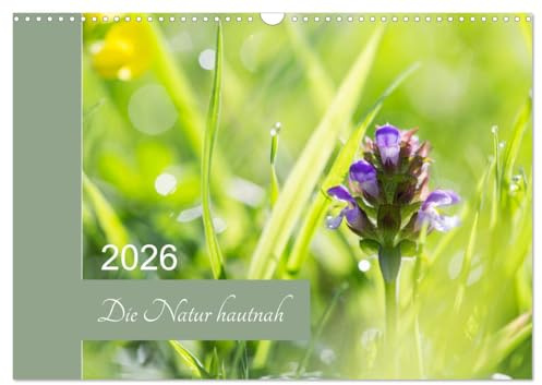 Die Natur hautnah (Wandkalender 2026 DIN A3 quer), CALVENDO Monatskalender: Pflanzendetails - die kleinen Dinge ganz groß. (CALVENDO Natur)