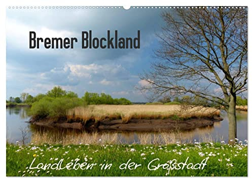 Bremer Blockland - Landleben in der Großstadt (Wandkalender 2026 DIN A2 quer), CALVENDO Monatskalender: Kaum zu glauben, das Blockland ist ein ... bestimmen hier das Bild. (CALVENDO Natur)