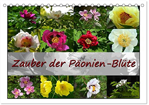 Zauber der Päonien-Blüte (Tischkalender 2026 DIN A5 quer), CALVENDO Monatskalender: Die schönsten Aufnahmen der zauberhaften Strauch-Päonien begleiten Sie durchs Jahr (CALVENDO Natur)