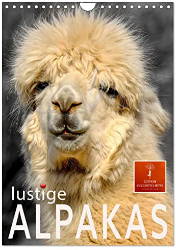 Lustige Alpakas (Wandkalender 2024 DIN A4 hoch), CALVENDO Monatskalender: Eindrucksvolle Bilder der niedlichen Tiere. (CALVENDO Tiere)