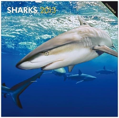 Sharks 2013: Haie (Wall-Kalender)