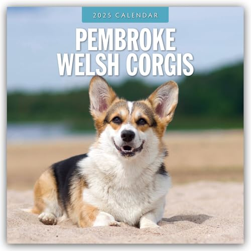 Pembroke Welsh Corgis – Pembroke Welsh Corgi 2025 – 16-Monatskalender: Original Red Robin Publishing Ltd-Kalender [Mehrsprachig] [Kalender] (Wall-Kalender)