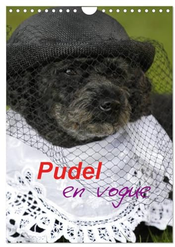 Pudel en vogue (Wandkalender 2025 DIN A4 hoch), CALVENDO Monatskalender