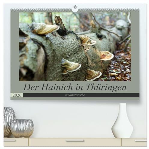 Der Hainich in Thüringen - Weltnaturerbe (hochwertiger Premium Wandkalender 2026 DIN A2 quer), Kunstdruck in Hochglanz: Der Nationalpark Hainich - ... Urwaldkulisse in Thüringen (CALVENDO Natur)