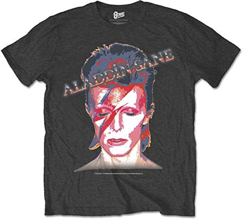 David Bowie Men's Aladdin Sane Regular Fit Crew Neck Short Sleeve T - Shirt, Grey (Grey Grey), Large