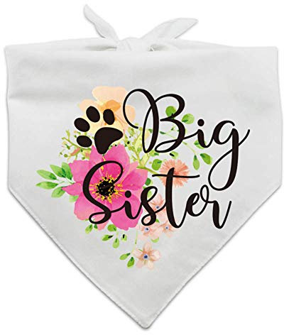 Family-Küche Big Sister Schwangerschaft Announcement Dog Bandana Gender Reveal Foto Reveal Pet Scarf Decoration Accessories Pet Scarves Dog Lovers Owner Gift
