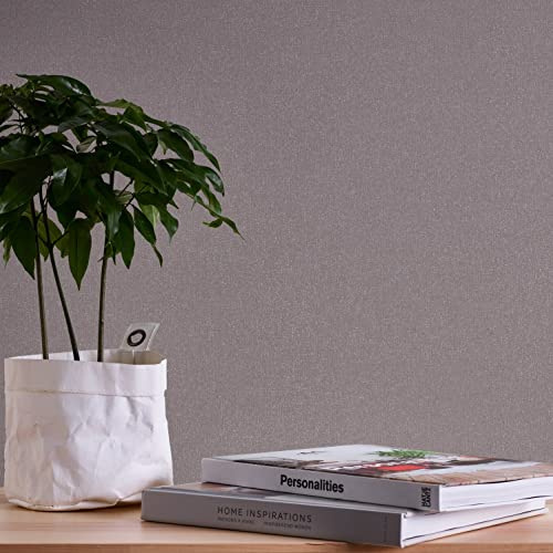 A.S. Création Terra 389261 Non-Woven Wallpaper Plain Grey Brown 10.05 m x 0.53 m Made in Germany