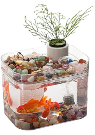 Zstar Aquarium Komplett Set, Aquaristik Kleines Transparentes Aquarium mit USB-Luftpumpe, Desktop-Dekor Fischzuchtbox Fischgläser für Wohnzimmer, Home, Office,A