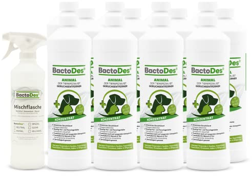 BactoDes - Animal Geruchsneutralisierer 12L Konzentrat mit Spray-Mischflasche - Starker Enzymreiniger Katzenurin, Hundeurin & Tiergerüche - Effektiver Geruchsentferner mit Bio Mikroben-Wirkung