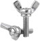 Lot de 5pcs Vis à Oreilles M6 DIN316 Filetage Métrique Entièrement Filetée en Acier Inoxydable 304(M6*16mm)
