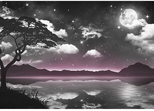 Runa Art Papier Peint panoramique Ciel Lune Nuit 352 x 250 cm Toison Mur XXL Moderne Décoration Murale Salon Chambre á Coucherr Bureau Salle gris rose 9341011c