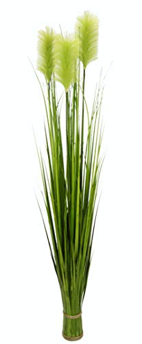 Flair Flower Pampasgrasbund Künstliches Gras Federgras Grasbüschel Deko Bund stehend Stehgras Dekogras Kunstgras Pflanzen Ziergras Grasbusch Grasarrangement Gräser Schilf Kunstpflanzen Halm Pampas, grün, 150x25x25cm, 151635GN