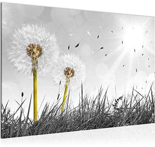 Runa Art Bild Pusteblume Modern Wandbilder Wohnzimmer Schlafzimmer 1 Teilig - Made In Germany - Löwenzahn Grau Grün Flur 034515b