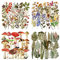 160 Stück Transparente Dekorative Aufkleber, Blumen Pflanze Pilz Farn Thema Bullet Journal Sticker, PET Durchsichtiger Hintergrund für DIY Scrapbook Fotoalben Tagebüchern