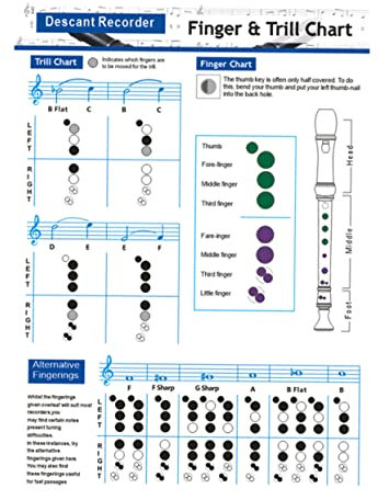 DRESSOOS Blockflöten-instrumenten-akkorddiagramm Für Flötenanfänger Bassklarinetten-grifftabelle