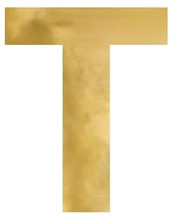 PartyDeco Gold Alphabet Spiegel Braut und Bräutigam Initialen Hipsu Acryl Buchstaben Zeichen Symbol T Backdrop Hochzeit Backdrop Hochzeit Hanging Wall Floral Inschrift Spiegel