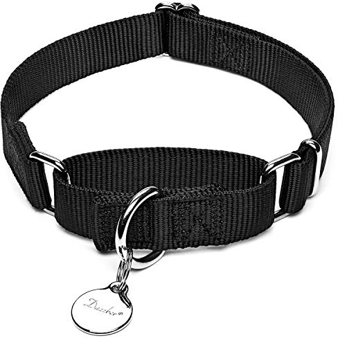 Dazzber Martingal Halsbänder für Hunde, Verstellbar Langlebig Kein Escape Stop Ziehen Hundehalsband Nylon für Große/Mittlere/Kleine Hunde (M, Schwarz)
