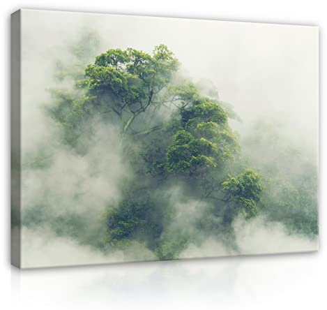 WallArena Leinwand Bilder - Wald Nebel Natur Landschaft - 100x75 cm | Leinwandbilder, Bild auf leinwand, Wandbild XXL groß Wandbilder für Wohnzimmer Schlafzimmer Wohnzimmerbilder