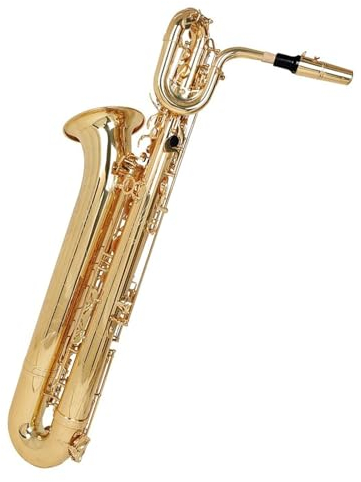 saxophon Instrument Baritonsaxophon E Flat Carving Holzblasinstrumente Mit Koffer Saxophonzubehör