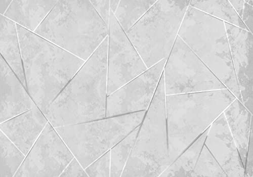 decomonkey Fototapete Abstrakt Geometrisch Stein 400x280 cm XXL Design Tapete Fototapeten Vlies Tapeten Wandtapete Moderne Wand Schlafzimmer Wohnzimmer Steinwand Betonoptik Grau Silber