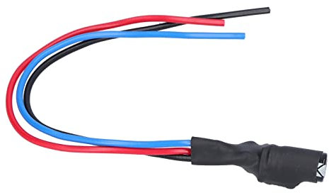 Rückfahrkamerafilter, 12 V Gleichrichter Relais Kondensator Kamerasignal Kondensatorfilter für Kabelwagenserie