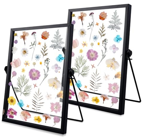 SPORWAY 2 Stück Bilderrahmen Stehend Glas: 15 X 20 cm Glasrahmen für Gepresste Blumen, Glas Metall Fotorahmen für Desk Decor DIY Bilder, Getrockneter, Blumen Artwork, Bild Display (Schwarz)