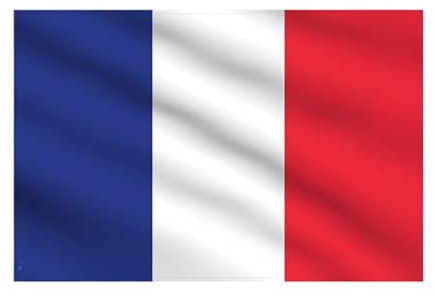 Drapeau de la France – 1,5 x 0,9 m – Drapeau extérieur et intérieur en polyester avec œillets en laiton – Résistant à la décoloration – Bords doubles – Bannière patriotique pour la maison, les