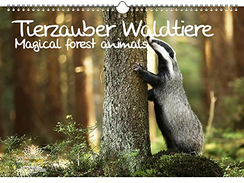 Tierzauber Waldtiere Immerwährender Kalender DIN A3 Tiere im Wald - Seelenzauber
