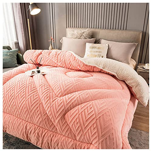 Coperta invernale calda e spessa, morbida coperta in lana di agnello e cashmere, per letto matrimoniale, coperta in pile pesante per camera da letto, 200 x 230 cm, 5 kg B