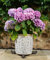 Potty Feet Sleeping Cat Stretching Figures Plant Pot Feet - Planter Support - Handmade Decorative Ornaments - 3pcs