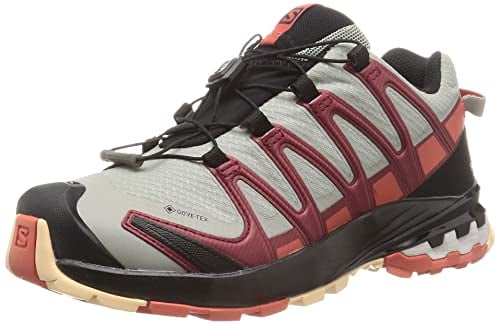 SALOMON Damen Xa Pro 3D V8 GTX W Traillaufschuh, Schmiedeeisen Burnt Sienna Biking Red, 41 EU
