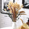 RAVEGO Pampasgras Getrocknet, 82 Stück Natürliche Trockenblumen, Braun/Weiß Pampasgras Flauschige Wedel, Lagurus und Schilfblume Trockenblumen Strauß, für Blumen Arrangements Heim Decor (Typ 2)