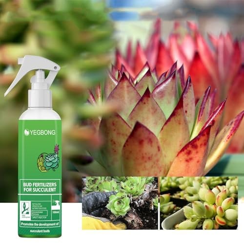 Succulent Fertilizer Succulent Feed Succulent Plant Food Promotes The Development Of Succulents, Succulent Care Essential Helps Speed Up Growth And Flowering(100ml) (1PC)