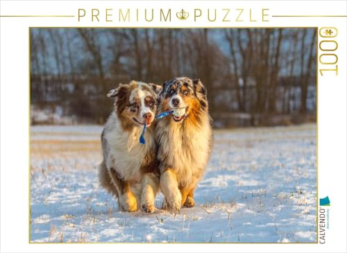 CALVENDO Puzzle Wir ziehen an einem Strang! | 1000 Teile Lege-Größe 64 x 48 cm Foto-Puzzle für glückliche Stunden