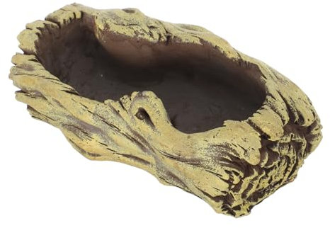 CAXUSD Contenedor Cemento Floata Maceta Vintage para Cactus Decoración De Jardín