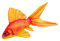 GABY Fish Pillows Goldfisch Kissen, Mehrfarbig, M (1er Pack)