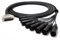 enoaudio Mogami 2932 8 Multicore Analog Kabel Breakout | Gold D-Sub 25 - Neutrik XLR male | HiFi, 1,0 m