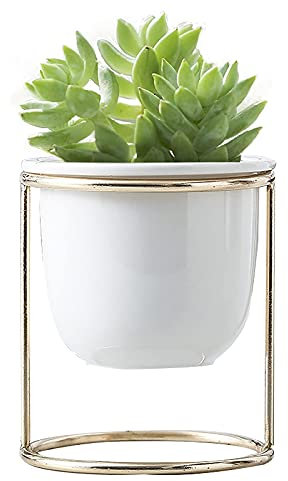 NICETOW Pots Succulents en céramique avec Support en métal, Petits Pots de Plantes en marbre, Mini Pots de Fleurs de Bureau décoratifs pour Plantes, Cactus, orchidées, décoration de Bureau - Blanc 9