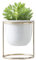 NICETOW Pots Succulents en céramique avec Support en métal, Petits Pots de Plantes en marbre, Mini Pots de Fleurs de Bureau décoratifs pour Plantes, Cactus, orchidées, décoration de Bureau - Blanc 9