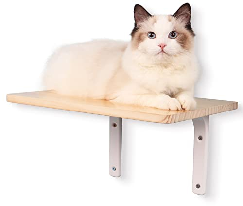 DaizySight Kletterwand Katzen Wandliege Plattform | Schwebende Katzenregal Schlafplatz Katzenmöbel Wandpark, 39x29cm