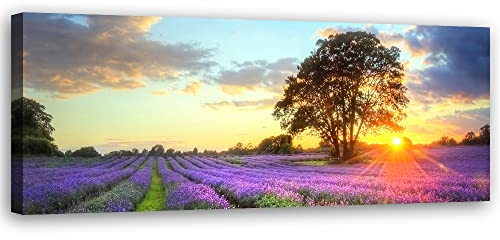Feeby Quadro Tela Non Tessuta Campo di lavanda Natura Tramonto 150x50 cm Foto d'Arte Decorazione Murale Corridoio Cielo Rustico Alberi Provenza viola