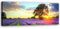 Feeby Vlies Leinwandbild Lavendelfeld Natur Sonnenuntergang 150x50 cm Wanddeko Design Kunstdruck Zimmerdeko Bilderwand Himmel Rustikal Bäume Provence Violett