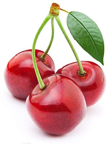 Shopvise Kirsche Bonsai Samen 20Pcs