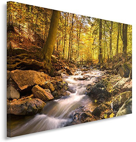 Feeby. Wandbild - 1 Teilig - 50x70 cm, Leinwand Bild Leinwandbilder Bilder Wandbilder Kunstdruck, WALD, NATUR, BRAUN