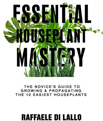 Essential Houseplant Mastery: The Novice’s Guide to Growing & Propagating the 12 Easiest Houseplants (Houseplant Care Mastery)
