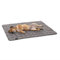 Pointer | Hundedecke 110 x 90 cm, Gepolstert & Strapazierfähig - Hundematte Waschbar bis 95°C, Liegedecke für Boden oder Sofaschutz - Outdoor geeignet (L - 110x90 cm, Hellgrau)
