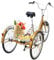 Linanty Dreirad für Erwachsene 24 Zoll 6-Gang, Fahrrad mit DREI Rädern, Verstellbarer Sitz Cruiser Trike Rennrad für Männer, Frauen, ältere Menschen, Gold