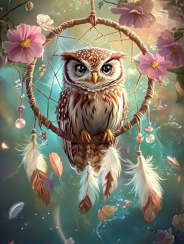 Hoobee 5D DIY Diamond Painting Eule, Diamond Painting Bilder Traumfänger, Diamond Painting Erwachsene, Vollbohrer Stickerei Kreuzstich Kunst Handwerk für Zuhause Wanddekoration 30x40 cm-14