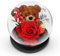 Gdecora Rosa Eterna Natural Preservada, Rosa Preservada con Oso, Ramo Flores en Cúpula de Cristal, Sant Jordi Regalos Mujer Mama, Regalo Dia de la Madre