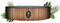 Coco - Piscina Copacabanna - Piscina fuori terra, 250 cm di diametro, 2700 litri, finto legno vero